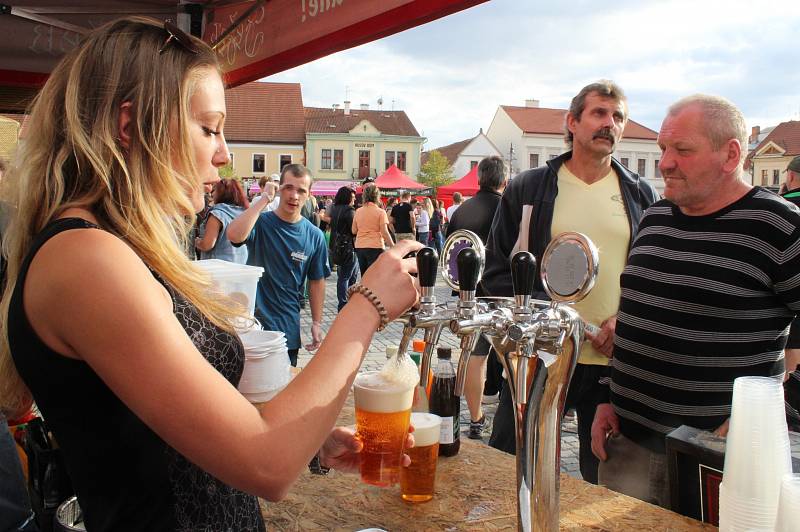 Na náměstí T.G.M. v Dobřanech se v sobotu konal pátý ročník Dobřanského Beerfestu.