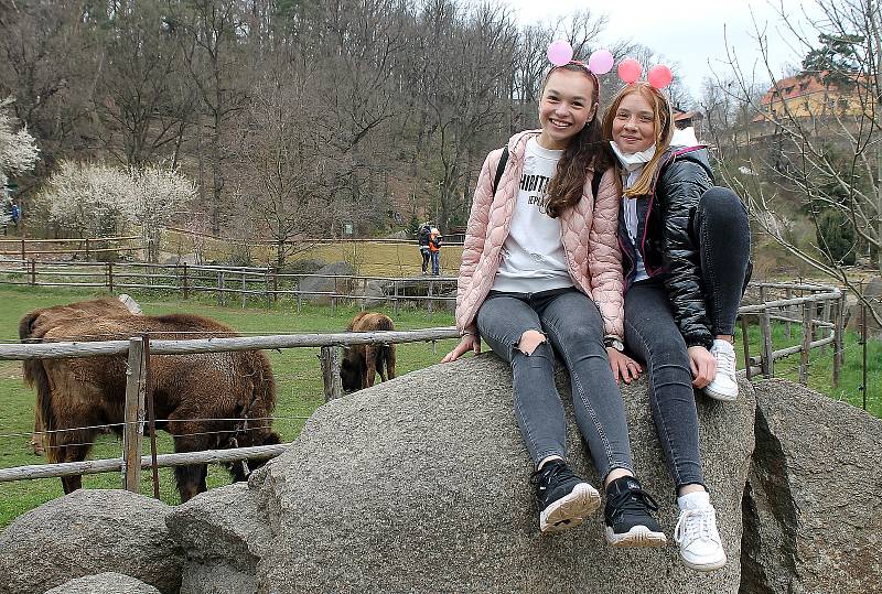 Do plzeňské zoologické zahrady dorazily jenom za sobotu více než dva tisíce návštěvníků.