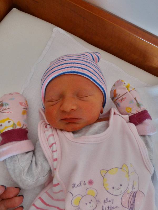 Natálie Serynková se narodila 30. března v 17:39 mamince Žanětě a tatínkovi Davidovi z Plzně. Po příchodu na svět v plzeňské FN vážila jejich prvorozená dcerka 2410 gramů a měřila 47 centimetrů.