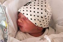 Patrik Weinar se narodil 30. září v 5:20 hodin rodičům Tereze a Milanovi ze Starého Plzence. Po příchodu na svět v plzeňské FN vážil jejich prvorozený syn 2930 gramů.
