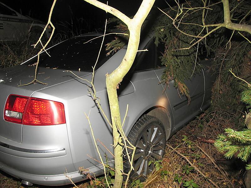 Řidič audi se střetl u Rosovic s daňkem. Auto sjelo do příkopu a narazilo do náletových dřevin.