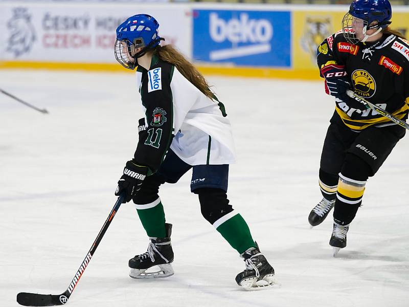 Hokejistky HC Příbram porazily v 7. kole extraligy Litvínov 10:3.