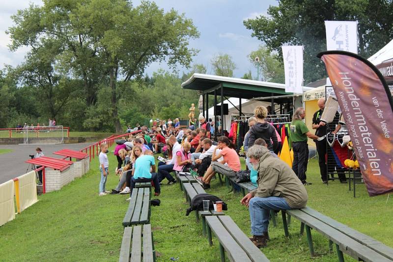 Letos se konal v Dobříši již 12. ročník Mezinárodního kynologického festivalu CACIT.