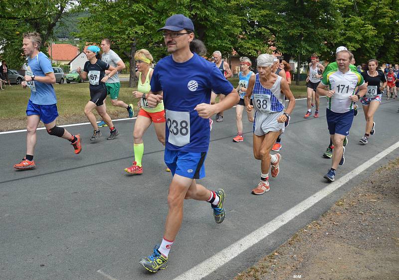 Již posedmnácté se konal v neděli 7. července běh do vrchu Lochovice - Plešivec.