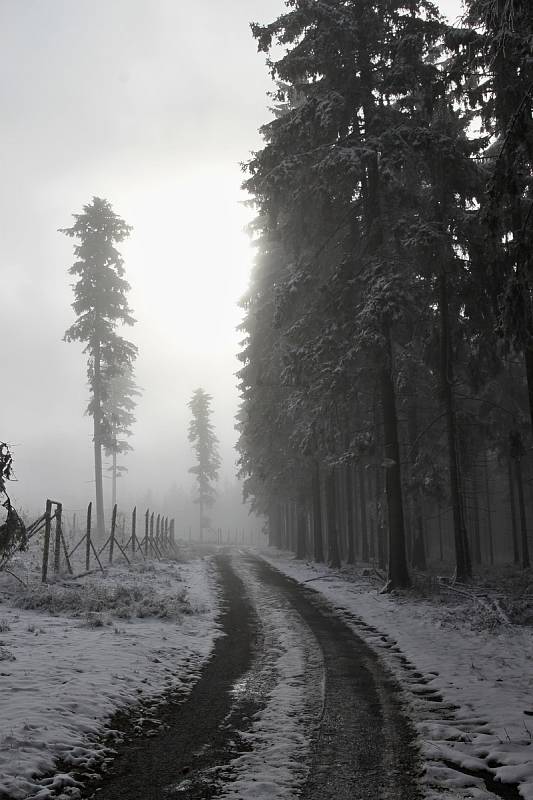 Díky této dohodě s VLS tak milovníci bílé stopy budou moci využít v Brdech cesty, na kterých se pravidelně drží nejhlubší sněhová pokrývka po nejdelší období roku. Sníh již v Brdech leží.