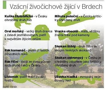 Vzácní živočichové žijící v Brdech.