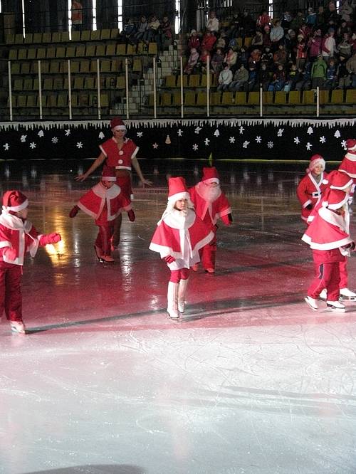 Na krasobruslařské parádě vystoupili jak zkušení členové bruslařského klubu, tak i ti nejmenší, kteří teprve začínají