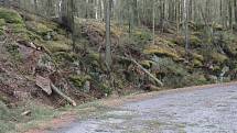 Nejčastěji hasiči na Příbramsku vyjížděli k likvidaci popadaných stromů.