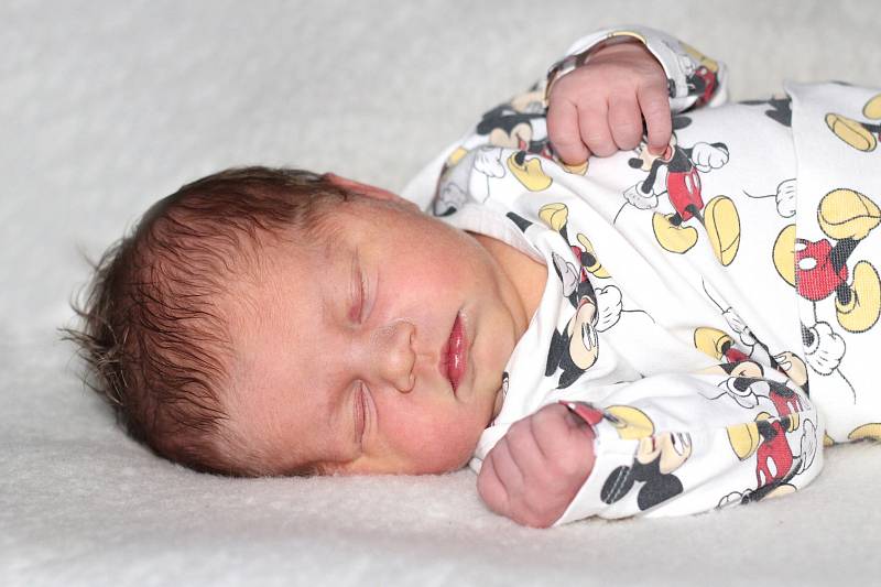 Adélka Dvořáková se narodila 17. prosince 2019 v Příbrami. Vážila 4410 g a měřila 53 cm. Doma v Kvasejovicích ji přivítali maminka Petra, tatínek Milan a dvouletá sestra Natálka.