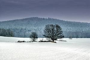 Petráškova hora u Vacíkova v zimním "hábitu".