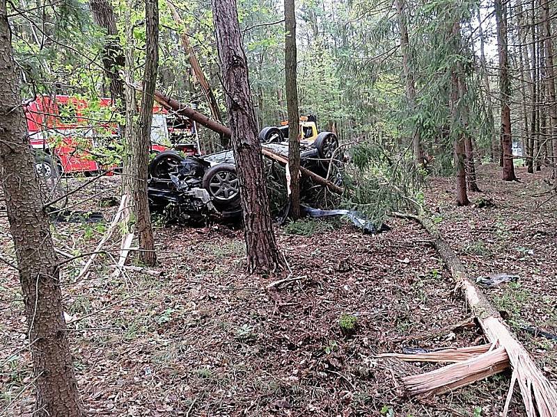 Auto přerazilo několik stromů.