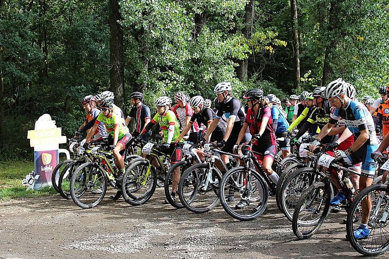 Pátý ročník MTB maratonu Brdmanův pařez pro amatérské cyklisty.