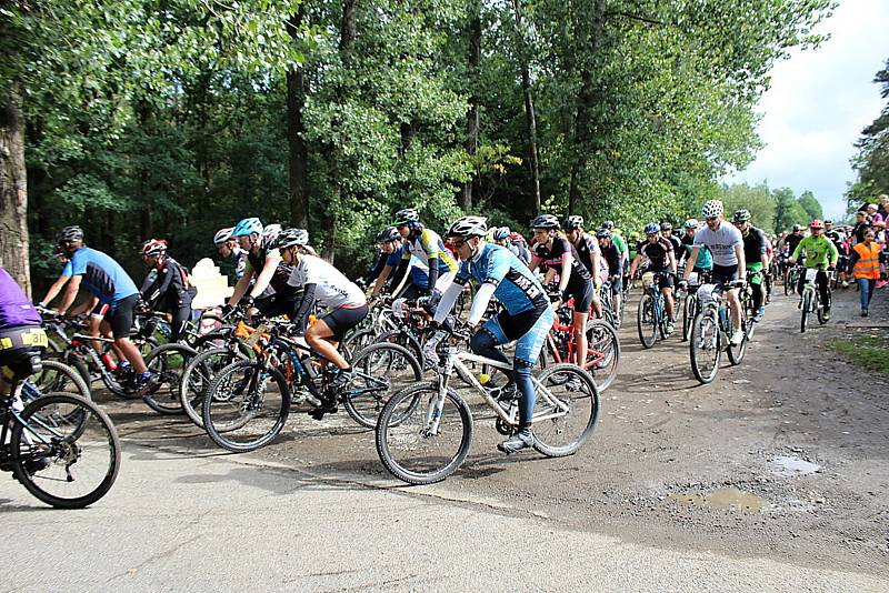 Pátý ročník MTB maratonu Brdmanův pařez pro amatérské cyklisty.