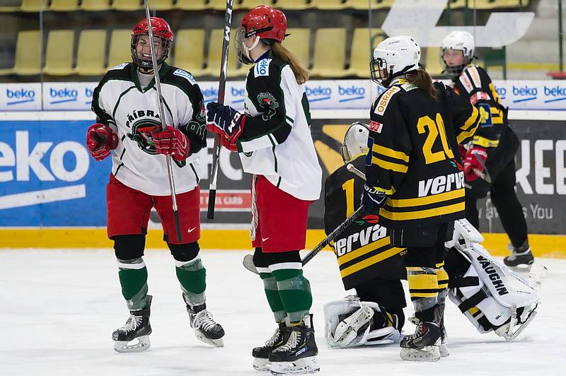 Hokejistky HC Příbram porazily v 7. kole extraligy Litvínov 10:3.