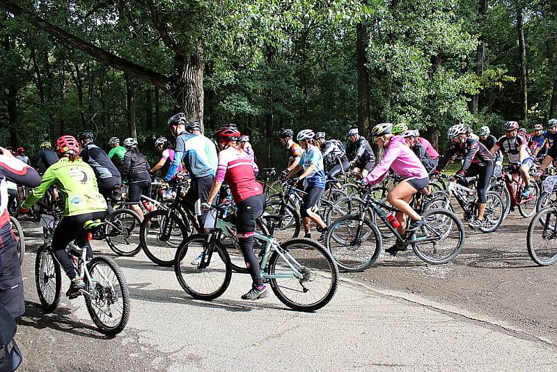 Pátý ročník MTB maratonu Brdmanův pařez pro amatérské cyklisty.