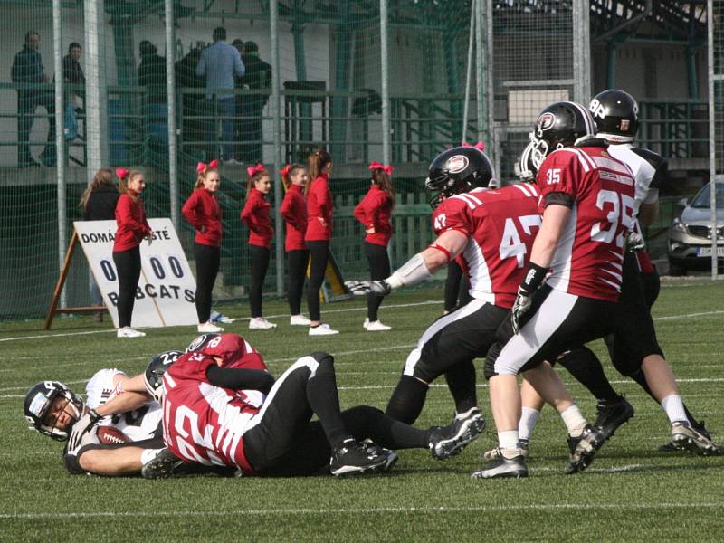 Bobcats - Black Panthers.