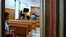 K pobodání matky, k čemuž došlo 11. března 2022 dopoledne v Příbrami, se v úterý 26. července 2022 u Krajského soudu v Praze přiznal 30letý muž z Příbrami.