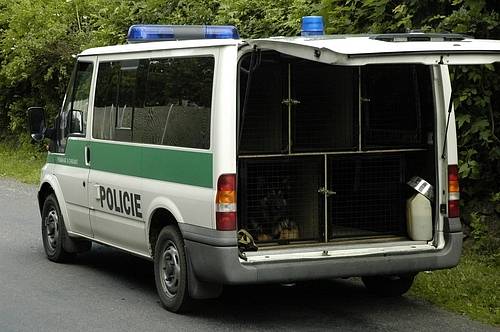 Ve Zduchovicích přepadl včera dopoledne neznámý lupič pošťačku. Zaútočil na ni paralyzerem. Policistům pomáhali i služební psi.