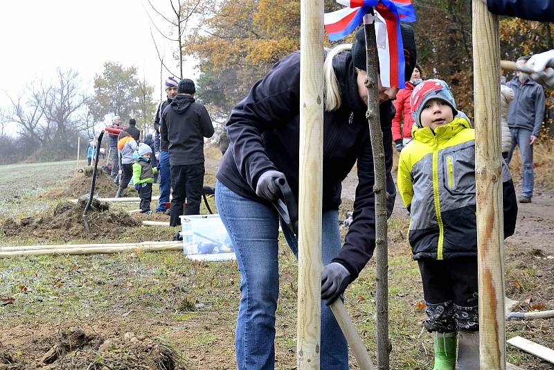 Nově vysazená Alej svobody u Památníku Vojna u Příbrami.