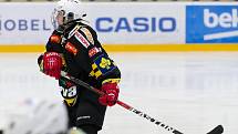 Hokejistky HC Příbram porazily v 7. kole extraligy Litvínov 10:3.