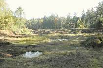 PÍSKOVNA ve Vacíkově, která je součástí Evropsky významné lokality Velký Raputovský rybník, kdy byly na podzim roku 2013 odstraněny náletové dřeviny.