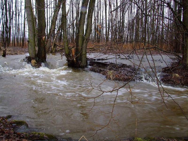 Rozvodněná Vlčava.