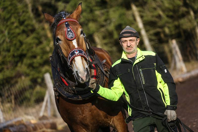 Milan Jura s koněm Jackem