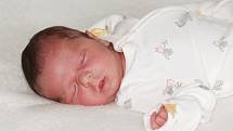 Tomáš Doubek se narodil 25. listopadu 2022 v Příbrami. Vážil 3260 g a měřil 51 cm. Doma v Dobříši ho přivítali maminka Jarmila, tatínek Martin a dvou a půl letá Eliška.