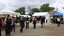 Letos se konal v Dobříši již 12. ročník Mezinárodního kynologického festivalu CACIT.