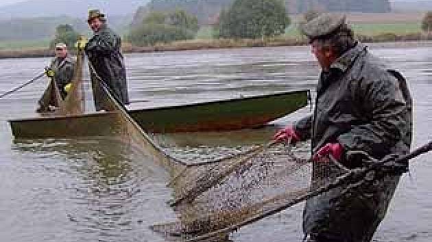 Rybáři na Podhůreckém rybníku ve Vranovicích.