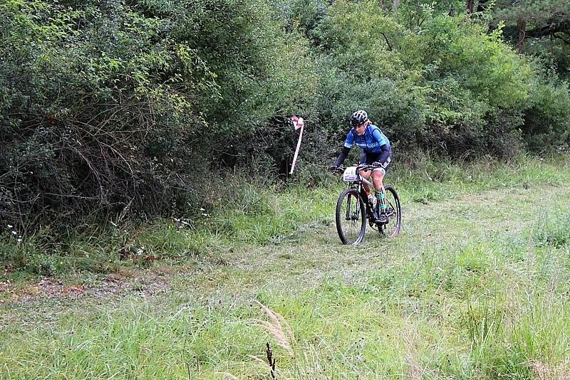 Pátý ročník MTB maratonu Brdmanův pařez pro amatérské cyklisty.