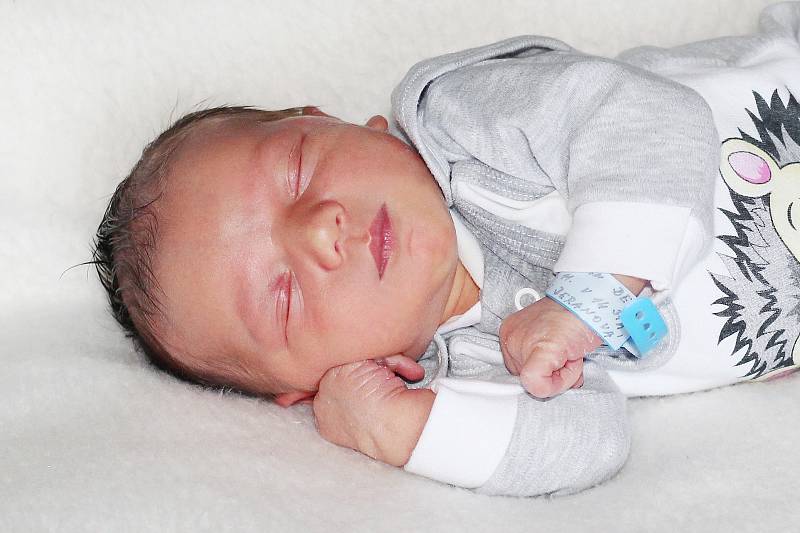 Sebastian Beer se narodil 29. listopadu 2019 v Příbrami. Vážil 3800 g a měřil 52 cm. Doma v Milíně syna přivítali maminka Tereza s tatínkem Pavlem.