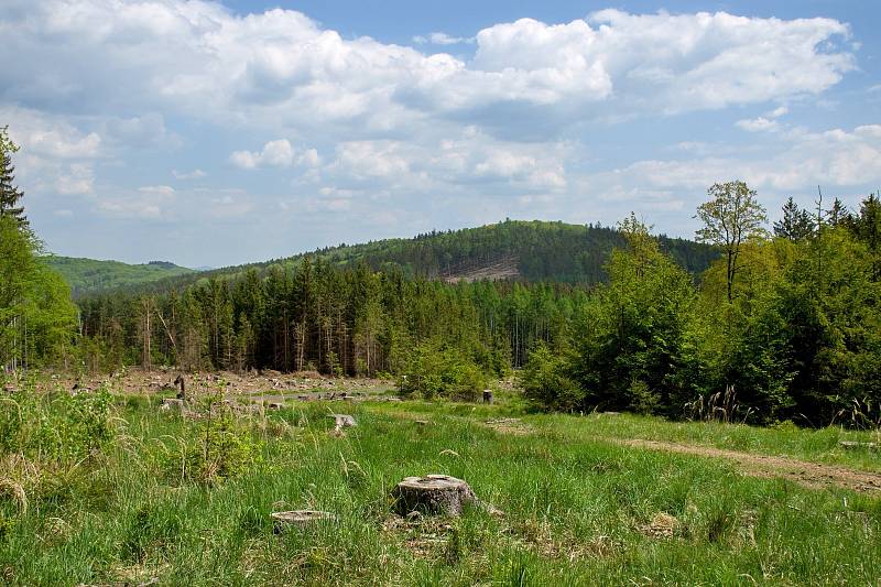 Pohled na Kazatelnu.