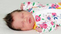 Amálie Křížová se narodila 20. dubna 2022 v Příbrami. Vážila 3390 g a měřila 47 cm. Doma v Příbrami ji přivítali maminka Aneta, tatínek Petr a šestiletý Petr.