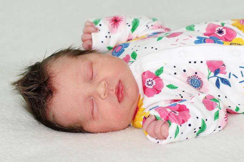 Amálie Křížová se narodila 20. dubna 2022 v Příbrami. Vážila 3390 g a měřila 47 cm. Doma v Příbrami ji přivítali maminka Aneta, tatínek Petr a šestiletý Petr.