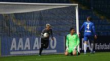 Zápas 15. kola FORTUNA:LIGY Slovan Liberec - 1. FK Příbram 3:2.