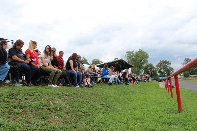 Letos se konal v Dobříši již 12. ročník Mezinárodního kynologického festivalu CACIT.