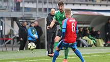 Zápas 22. kola FORTUNA:LIGY Viktoria Plzeň - 1. FK Příbram.