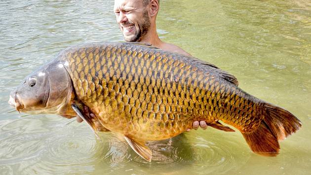 KAPRA měřícího 103 centimetry a o hmotnosti  21,70 kilogramů vytáhl z nejmenované zatopené pískovny ve středních Čechách rybář Vlastimil Jakoubek z Jinců.