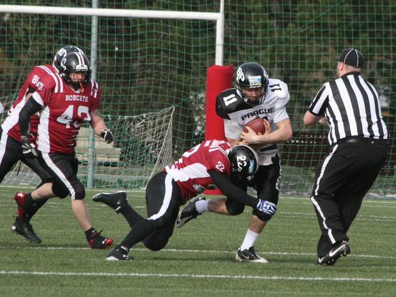 Bobcats - Black Panthers.