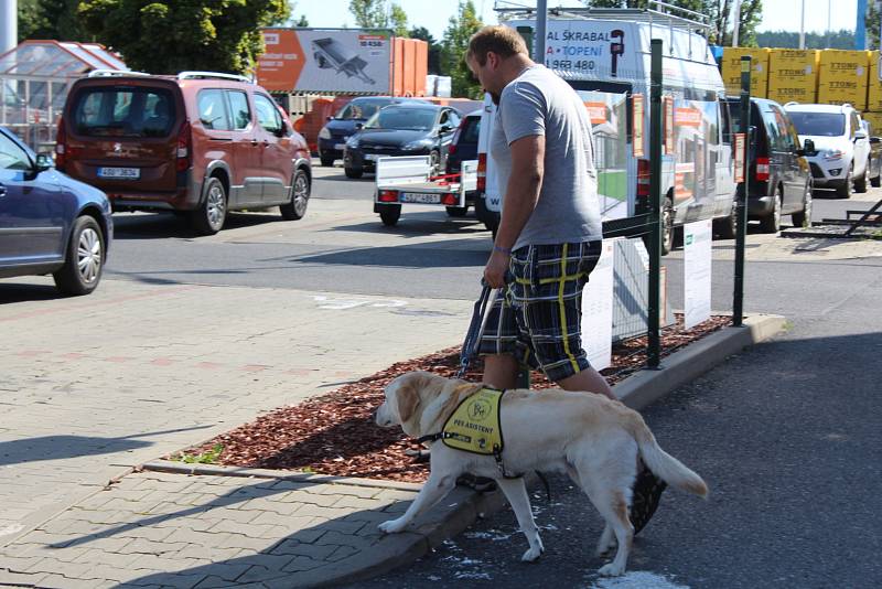 V obchodních centrech v Žežické ulici se konala část praktického výcviku asistenčních psů pod záštitou neziskové organizace Helppes.