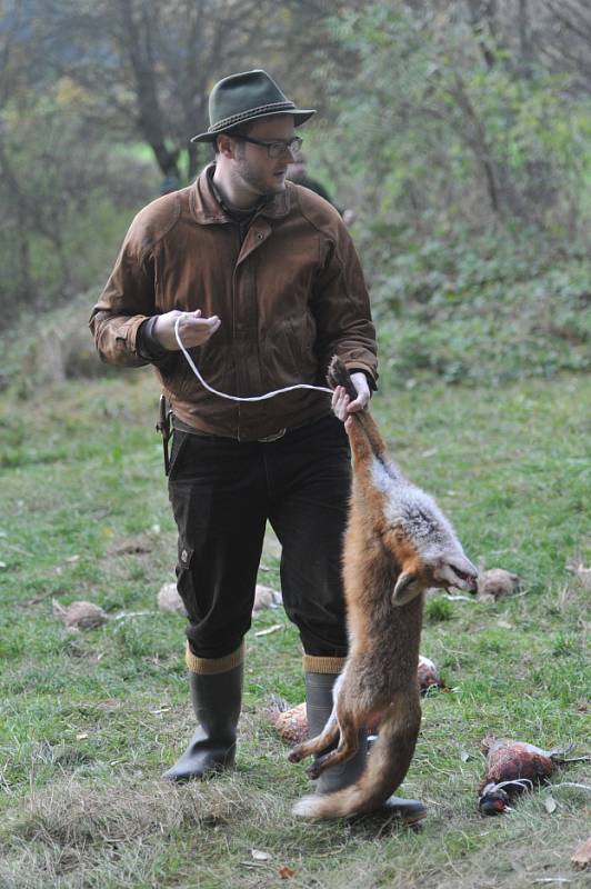 Tradiční hon na bažanty uspořádali na sklonku října myslivci z Mysliveckého sdružení (MS) Svatý Jan. 