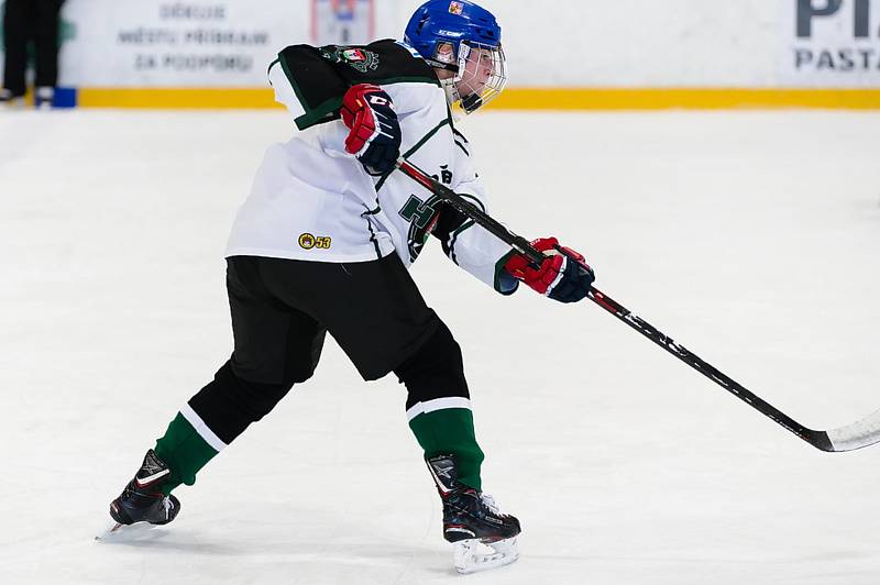 Hokejistky HC Příbram porazily v 7. kole extraligy Litvínov 10:3.