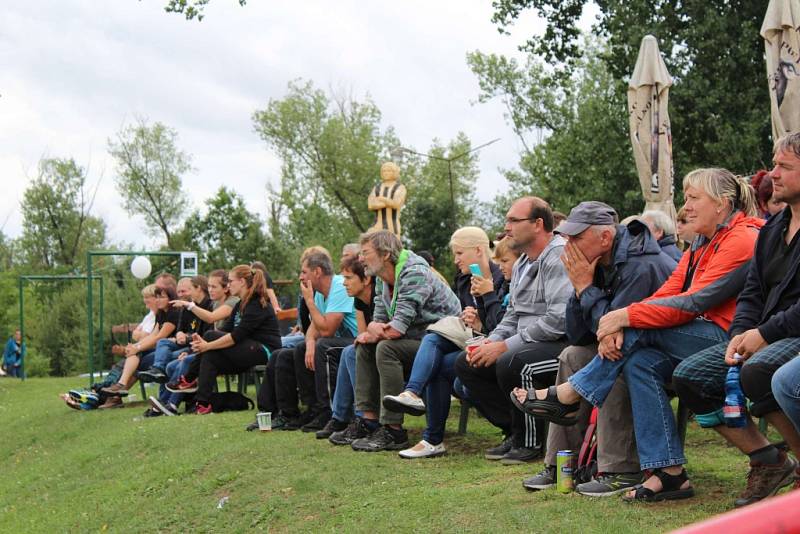 Letos se konal v Dobříši již 12. ročník Mezinárodního kynologického festivalu CACIT.