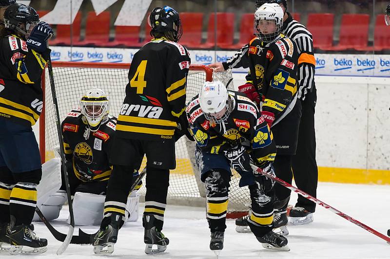 Hokejistky HC Příbram porazily v 7. kole extraligy Litvínov 10:3.