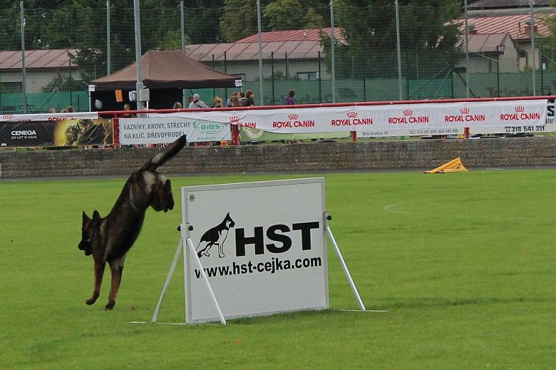 Letos se konal v Dobříši již 12. ročník Mezinárodního kynologického festivalu CACIT.