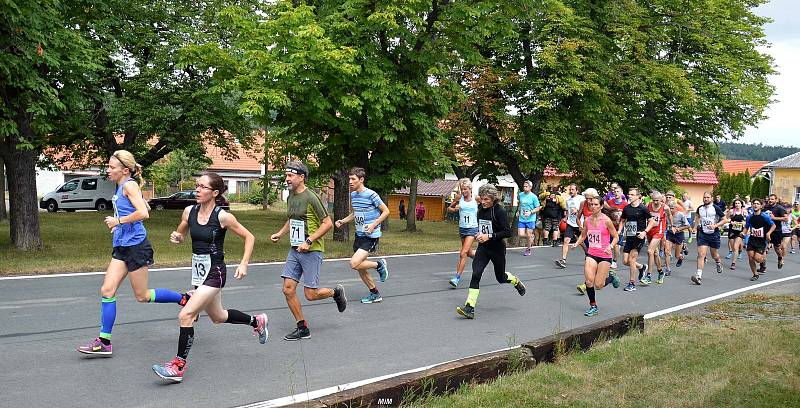 Již posedmnácté se konal v neděli 7. července běh do vrchu Lochovice - Plešivec.