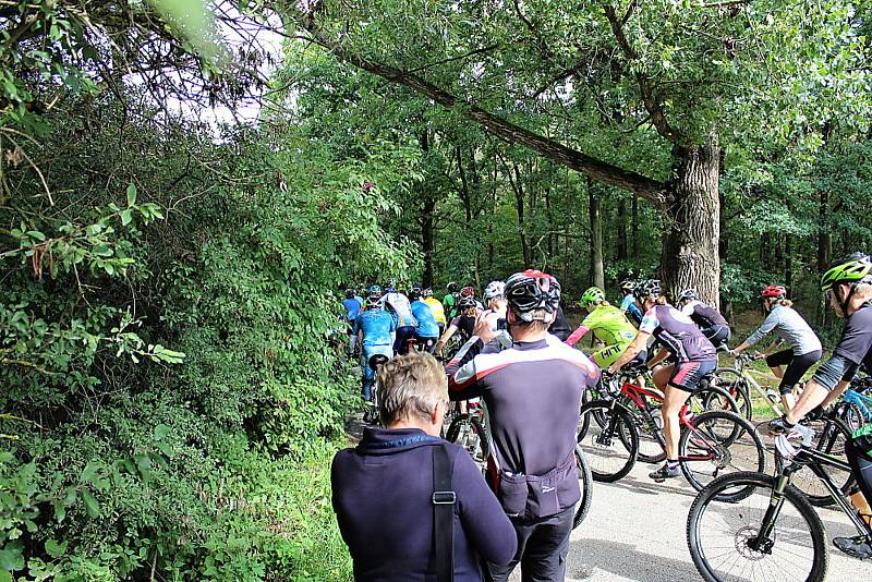 Pátý ročník MTB maratonu Brdmanův pařez pro amatérské cyklisty.