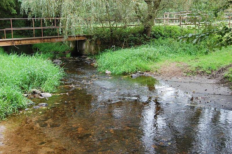 V Litavce umírají raci. Nejspíše se jedná o račí mor.