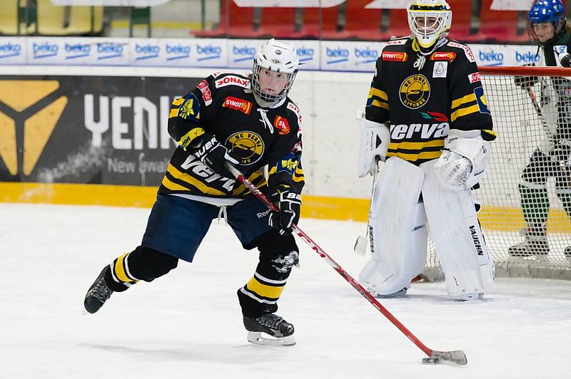 Hokejistky HC Příbram porazily v 7. kole extraligy Litvínov 10:3.